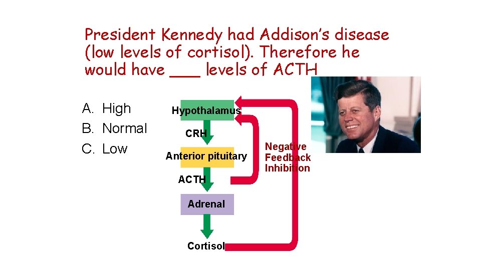 President Kennedy had Addison’s disease (low levels of cortisol). Therefore he would have ___