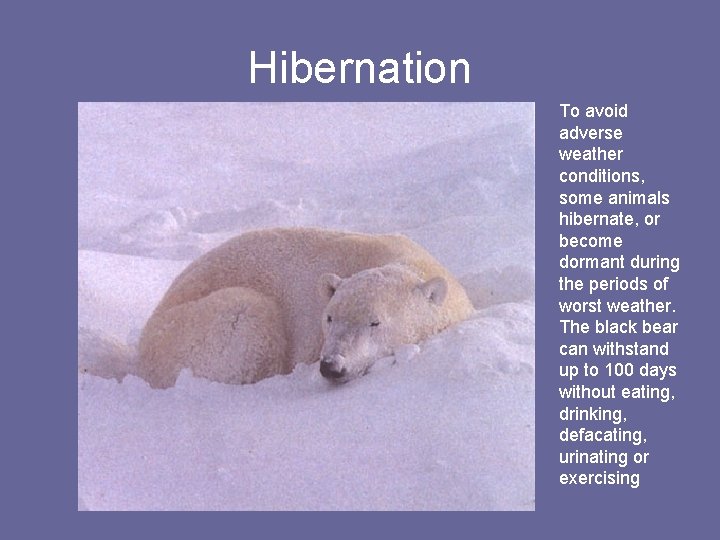 Hibernation To avoid adverse weather conditions, some animals hibernate, or become dormant during the