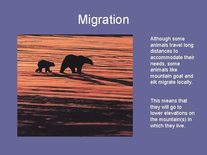 Migration Although some animals travel long distances to accommodate their needs, some animals like