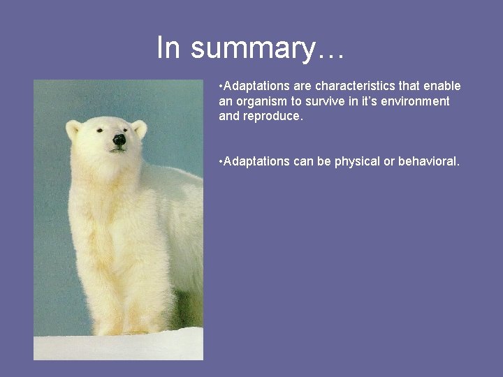 In summary… • Adaptations are characteristics that enable an organism to survive in it’s