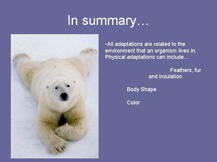 In summary… • All adaptations are related to the environment that an organism lives