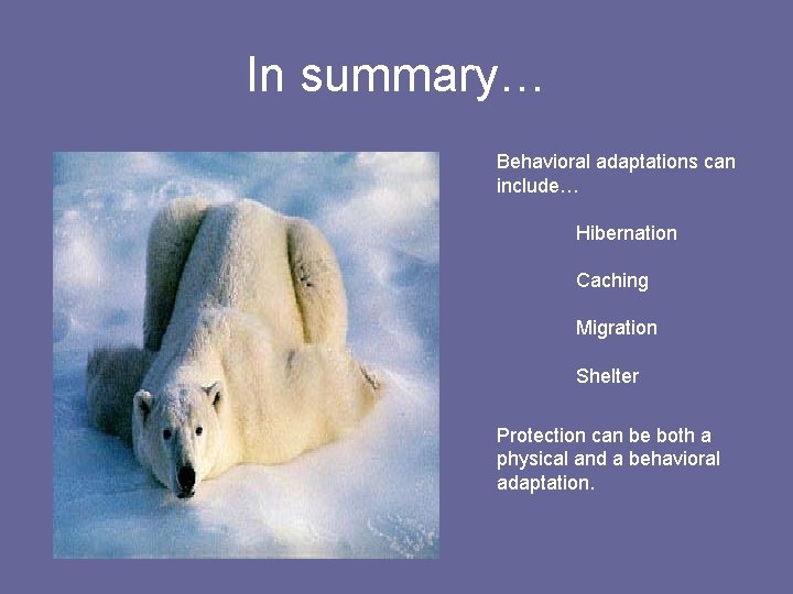 In summary… Behavioral adaptations can include… Hibernation Caching Migration Shelter Protection can be both