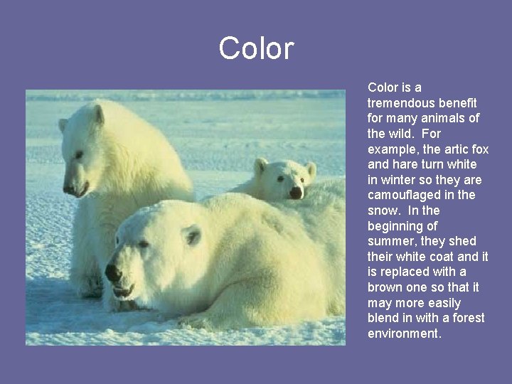 Color is a tremendous benefit for many animals of the wild. For example, the