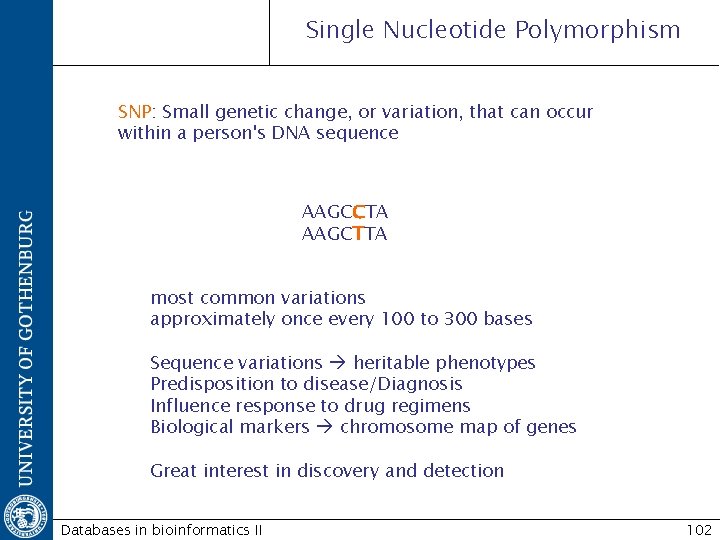 Single Nucleotide Polymorphism SNP: Small genetic change, or variation, that can occur within a