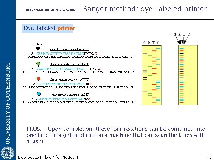 http: //www. escience. ws/b 572/L 8. htm Sanger method: dye-labeled primer Dye-labeled primer PROS: