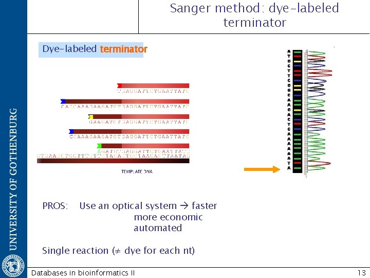 Sanger method: dye-labeled terminator Dye-labeled terminator PROS: Use an optical system faster more economic