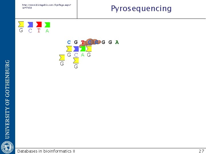 http: //www. biotagebio. com/Dyn. Page. aspx? id=7454 Pyrosequencing C G T C C G