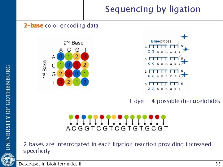 Sequencing by ligation 2 -base color encoding data 1 dye = 4 possible di-nucelotides