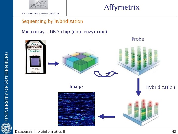 Affymetrix http: //www. affymetrix. com/index. affx Sequencing by hybridization Microarray – DNA chip (non-enzymatic)