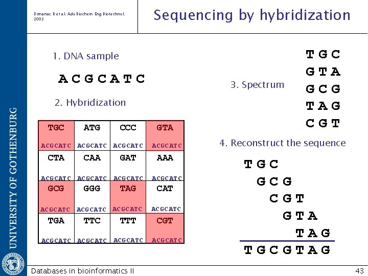 Drmanac R et al. Adv Biochem Eng Biotechnol. 2002 Sequencing by hybridization 1. DNA