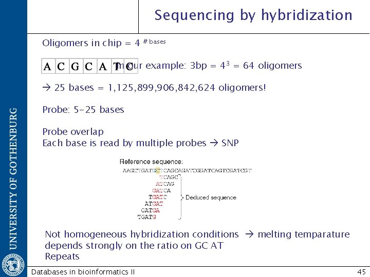 Sequencing by hybridization Oligomers in chip = 4 # bases In our example: 3