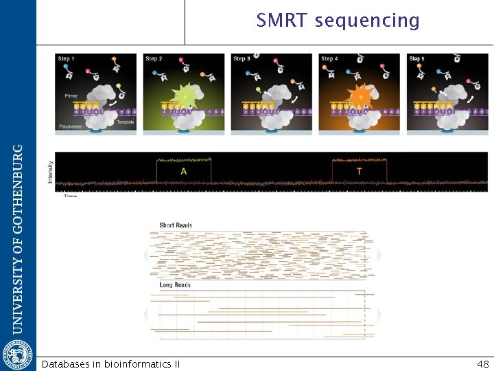 SMRT sequencing Databases in bioinformatics II 48 