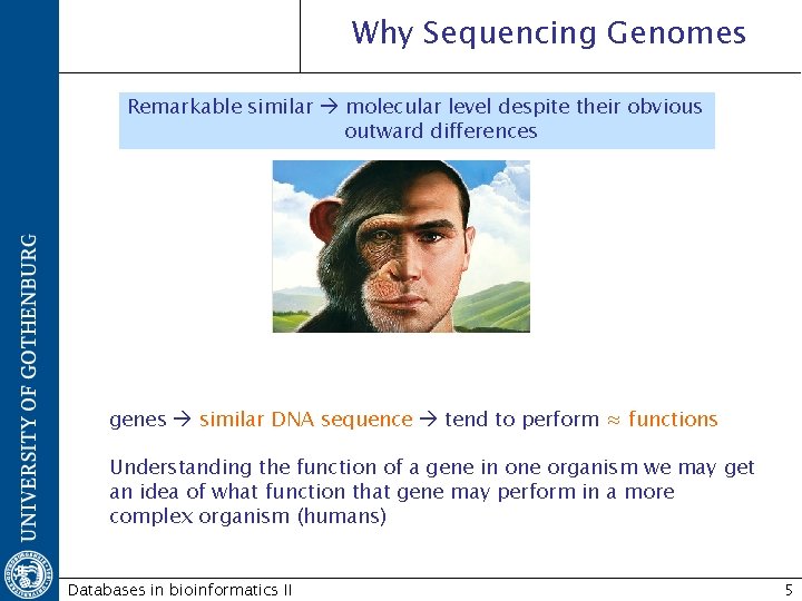 Why Sequencing Genomes Remarkable similar molecular level despite their obvious outward differences genes similar