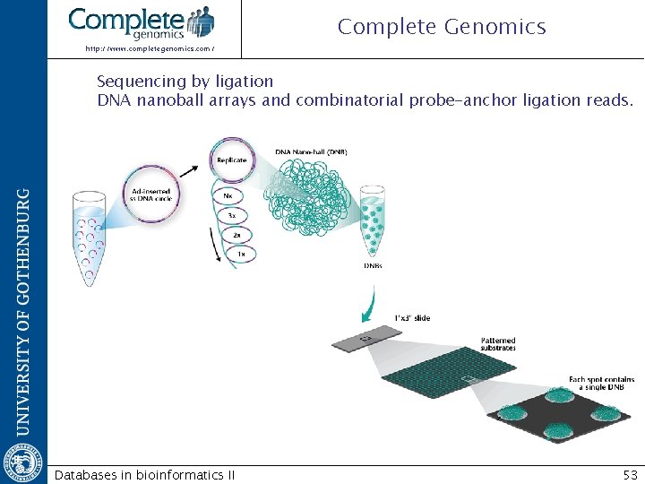 Complete Genomics http: //www. completegenomics. com/ Sequencing by ligation DNA nanoball arrays and combinatorial