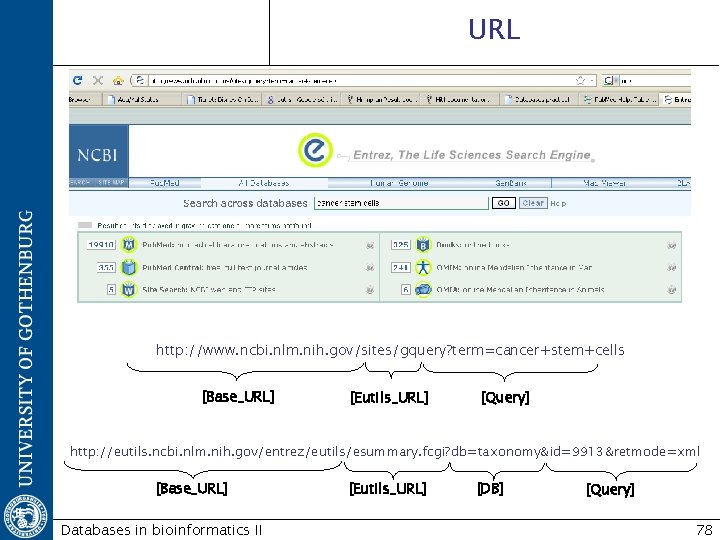 URL http: //www. ncbi. nlm. nih. gov/sites/gquery? term=cancer+stem+cells [Base_URL] [Eutils_URL] [Query] http: //eutils. ncbi.