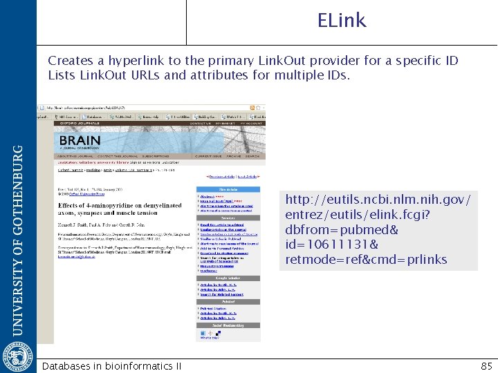 ELink Creates a hyperlink to the primary Link. Out provider for a specific ID