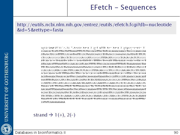 EFetch - Sequences http: //eutils. ncbi. nlm. nih. gov/entrez/eutils/efetch. fcgi? db=nucleotide &id=5&rettype=fasta strand 1(+),
