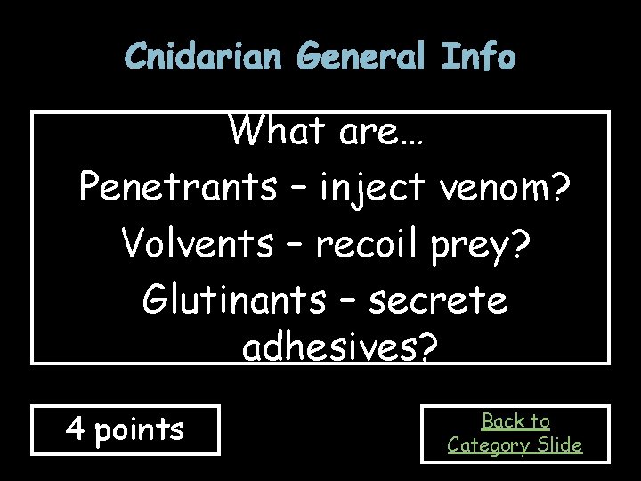 Cnidarian General Info What are… Penetrants – inject venom? Volvents – recoil prey? Glutinants