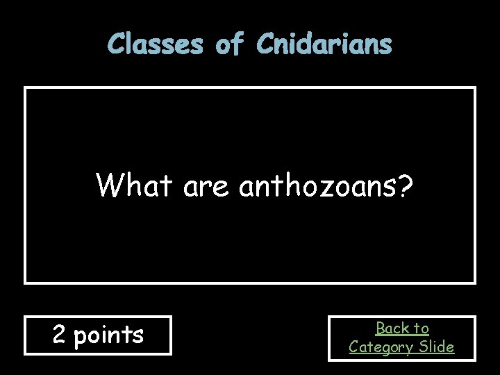 Classes of Cnidarians What are anthozoans? 2 points Back to Category Slide 