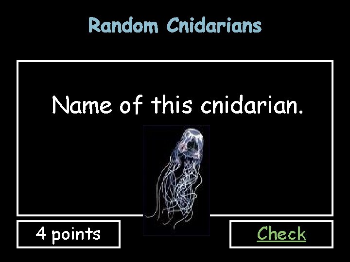 Random Cnidarians Name of this cnidarian. 4 points Check 