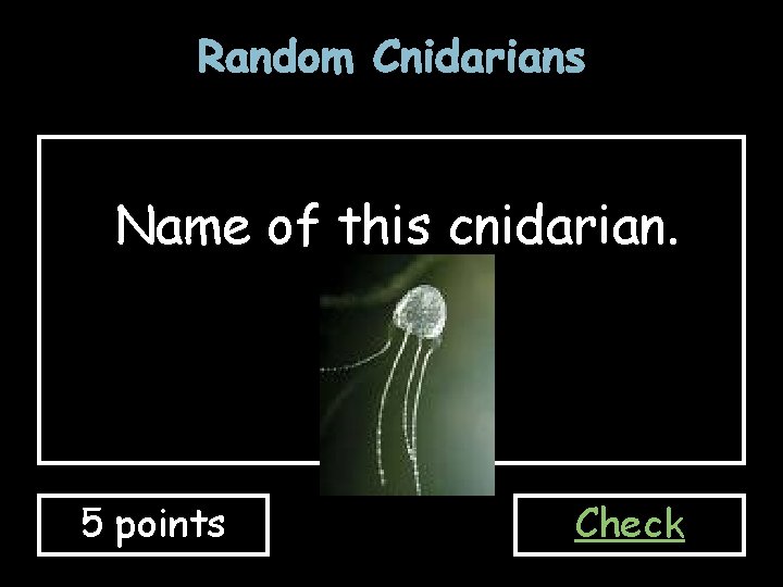 Random Cnidarians Name of this cnidarian. 5 points Check 