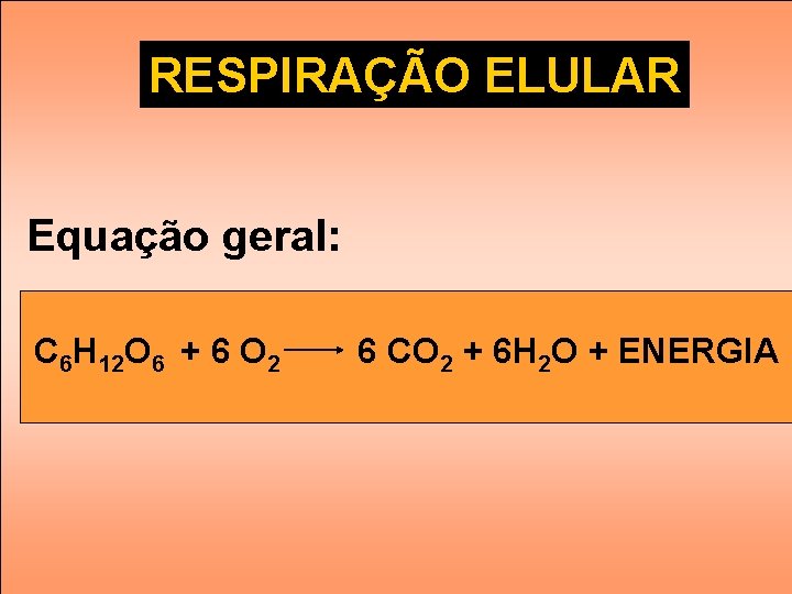 RESPIRAO CELULAR espao matriz cristas Memb interna Memb