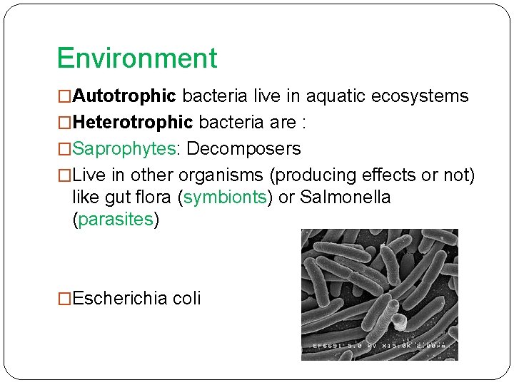 Environment �Autotrophic bacteria live in aquatic ecosystems �Heterotrophic bacteria are : �Saprophytes: Decomposers �Live