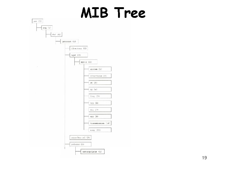 MIB Tree 19 