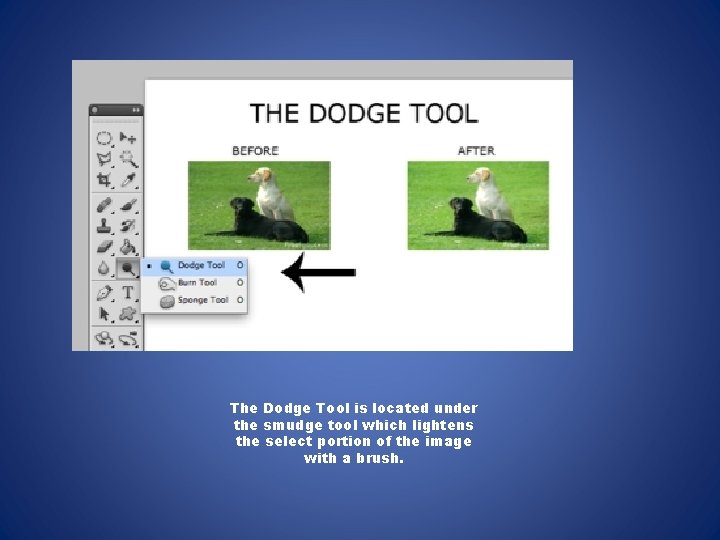 The Dodge Tool is located under the smudge tool which lightens the select portion