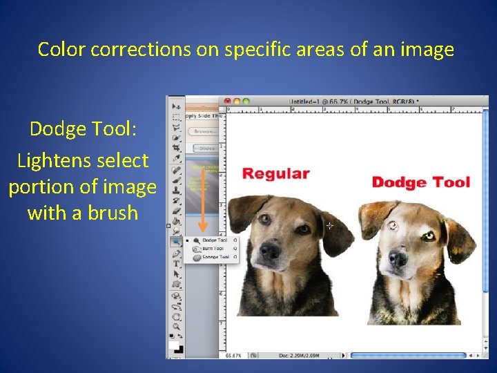 Color corrections on specific areas of an image Dodge Tool: Lightens select portion of