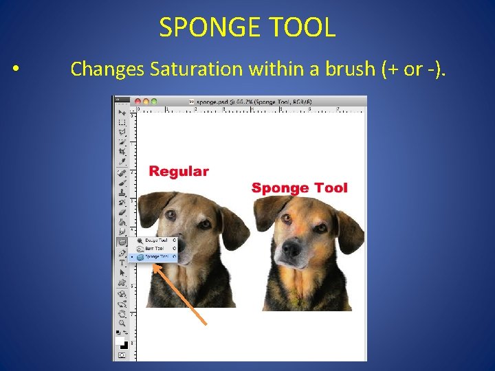 SPONGE TOOL • Changes Saturation within a brush (+ or -). 