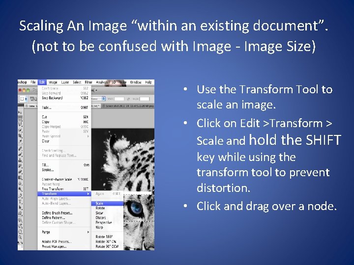 Scaling An Image “within an existing document”. (not to be confused with Image -