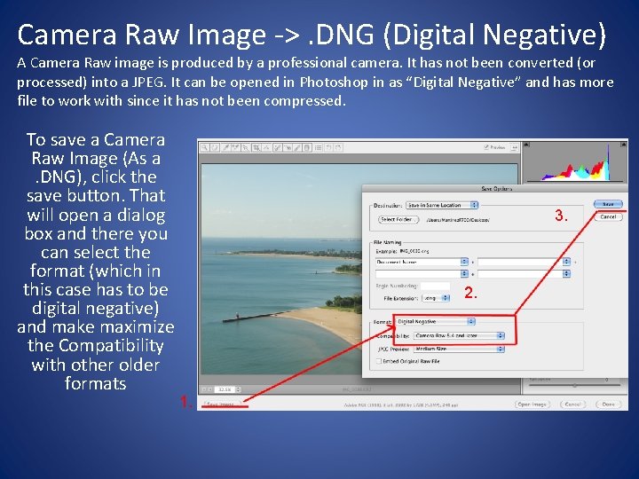 Camera Raw Image ->. DNG (Digital Negative) A Camera Raw image is produced by