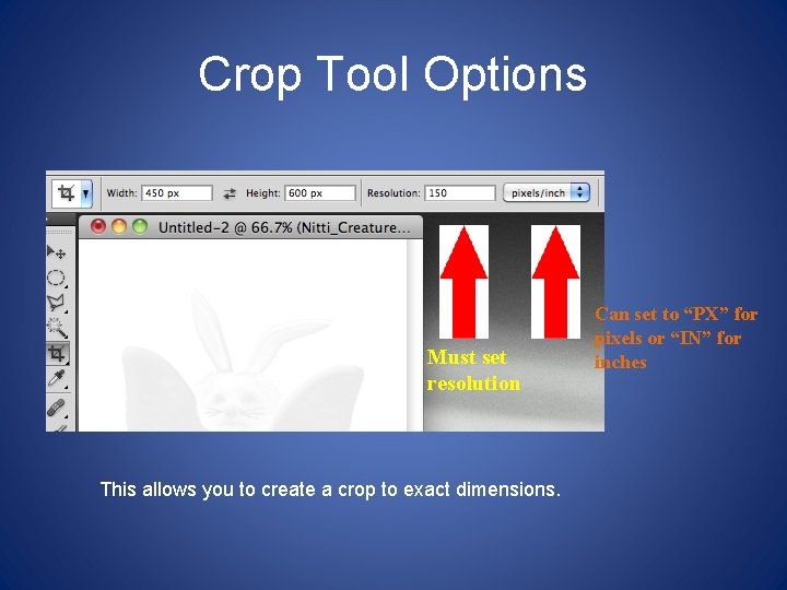 Crop Tool Options Must set resolution This allows you to create a crop to