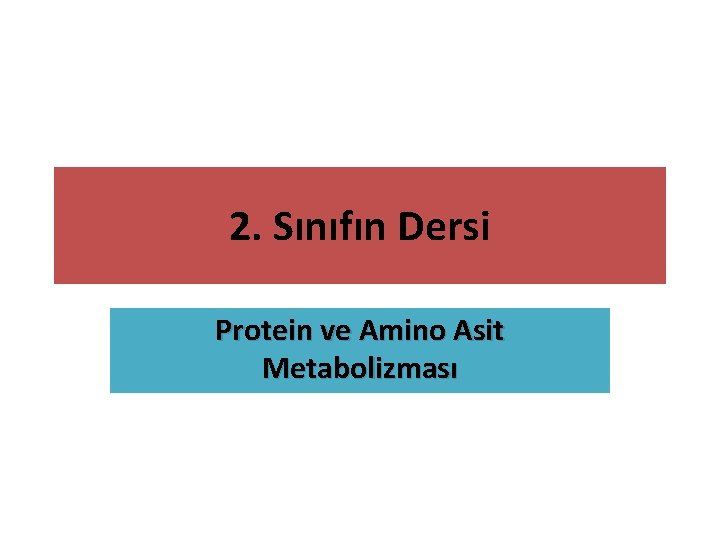 2. Sınıfın Dersi Protein ve Amino Asit Metabolizması 