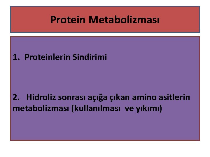 Protein Metabolizması 1. Proteinlerin Sindirimi 2. Hidroliz sonrası açığa çıkan amino asitlerin metabolizması (kullanılması