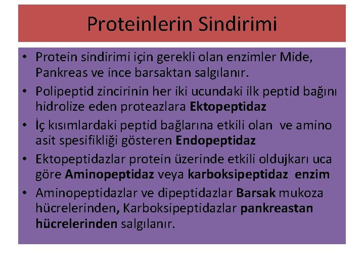 Proteinlerin Sindirimi • Protein sindirimi için gerekli olan enzimler Mide, Pankreas ve ince barsaktan