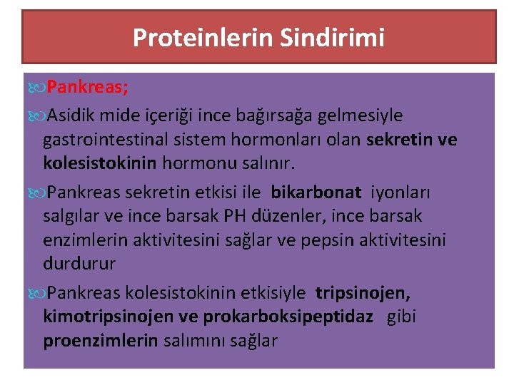 Proteinlerin Sindirimi Pankreas; Asidik mide içeriği ince bağırsağa gelmesiyle gastrointestinal sistem hormonları olan sekretin
