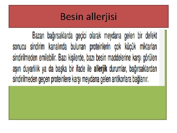 Besin allerjisi 