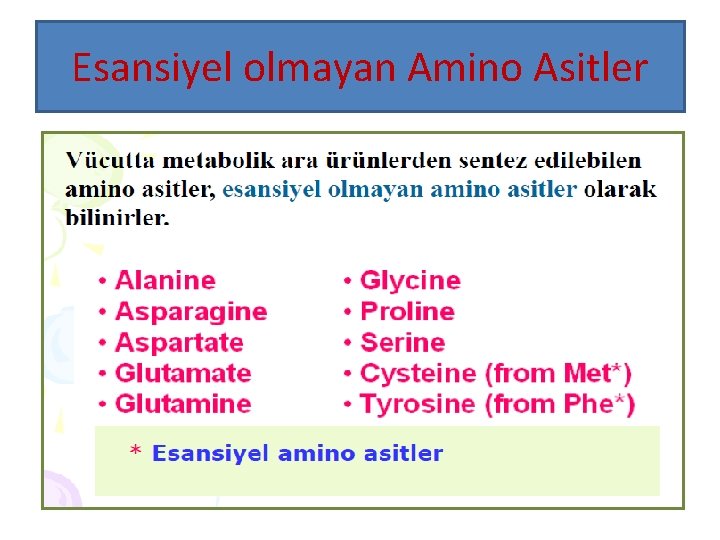 Esansiyel olmayan Amino Asitler 