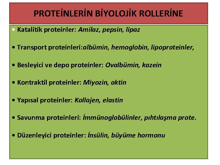PROTEİNLERİN BİYOLOJİK ROLLERİNE • Katalitik proteinler: Amilaz, pepsin, lipaz • Transport proteinleri: albümin, hemoglobin,
