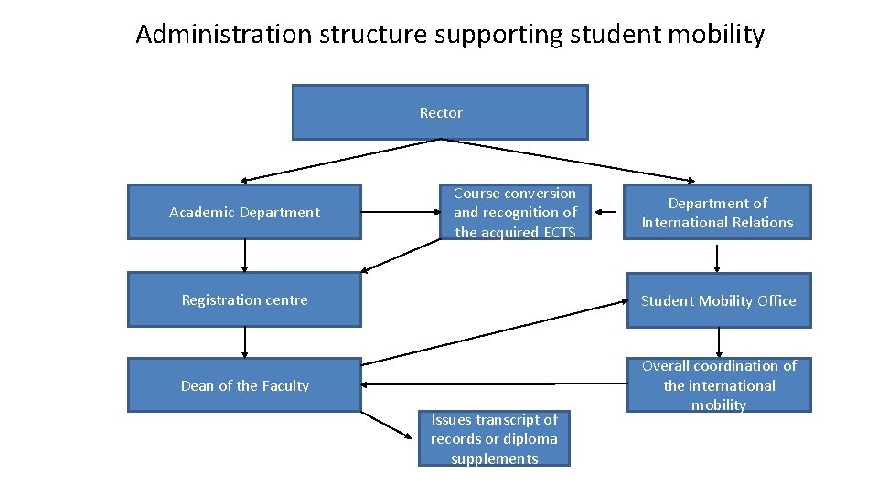 Administration structure supporting student mobility Rector Academic Department Course conversion and recognition of the