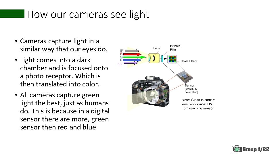 How our cameras see light • Cameras capture light in a similar way that