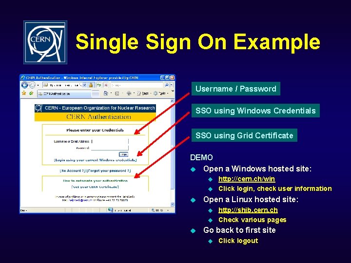 Single Sign On Example Username / Password SSO using Windows Credentials SSO using Grid