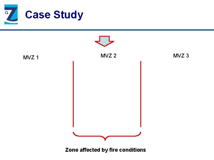 Case Study MVZ 1 MVZ 2 Zone affected by fire conditions MVZ 3 
