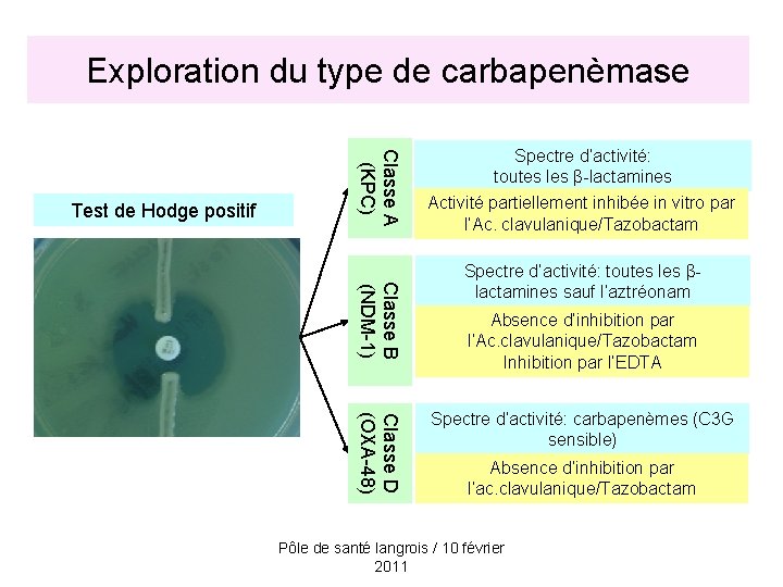 Exploration du type de carbapenèmase Classe A (KPC) Test de Hodge positif Spectre d’activité: