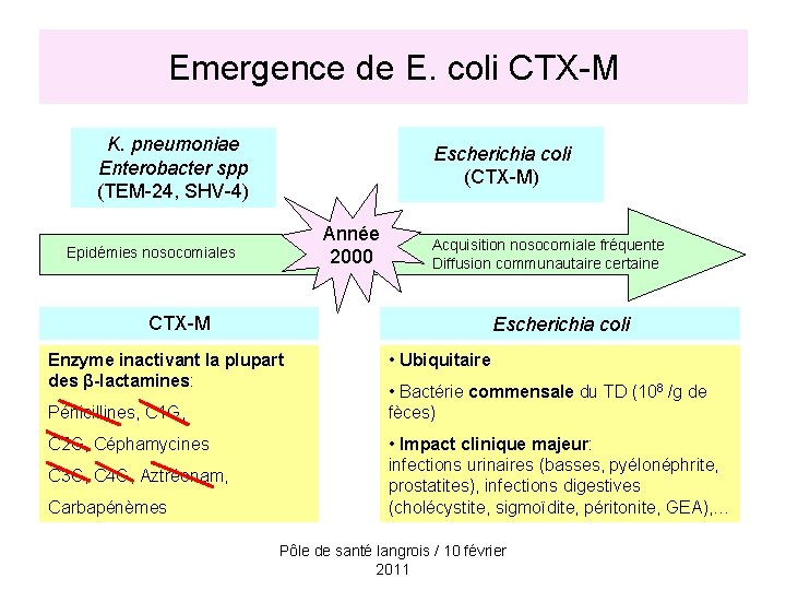 Emergence de E. coli CTX-M K. pneumoniae Enterobacter spp (TEM-24, SHV-4) Escherichia coli (CTX-M)