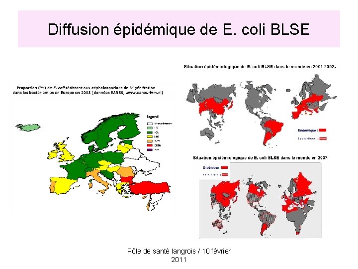 Diffusion épidémique de E. coli BLSE Pôle de santé langrois / 10 février 2011