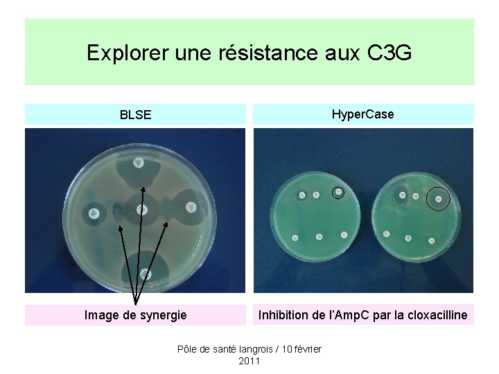 Explorer une résistance aux C 3 G BLSE Hyper. Case Image de synergie Inhibition
