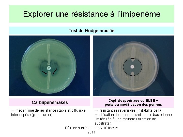 Explorer une résistance à l’imipenème Test de Hodge modifié Carbapénèmases → mécanisme de résistance